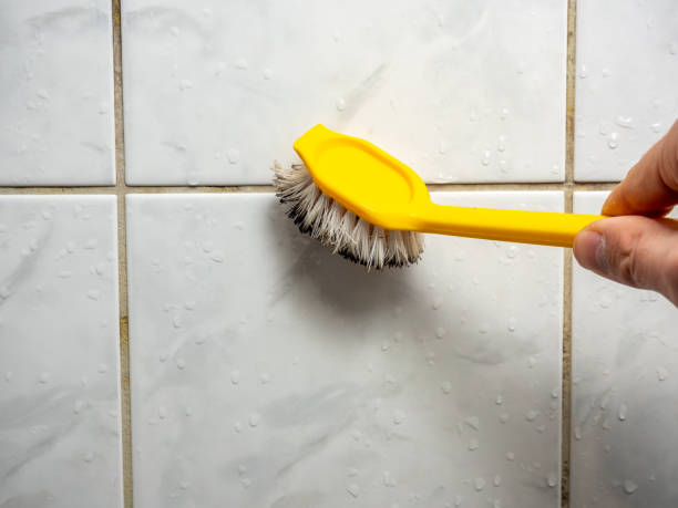  Raintree Plantation, MO Mold Removal Pros