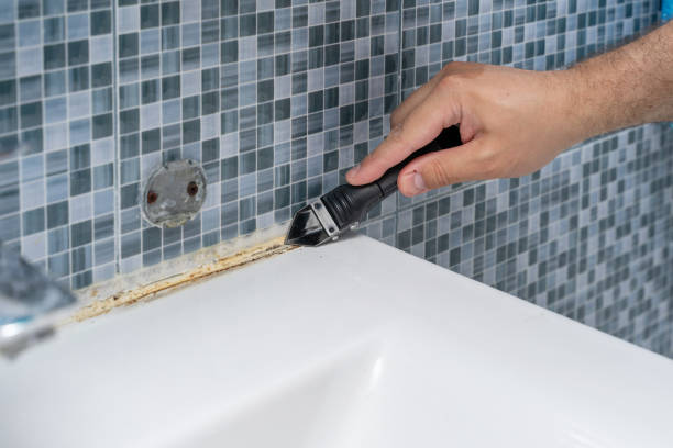 Best Residential Mold Removal  in Raintree Plantation, MO