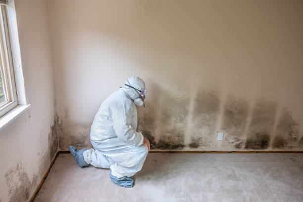 Best Mold Testing  in Raintree Plantation, MO